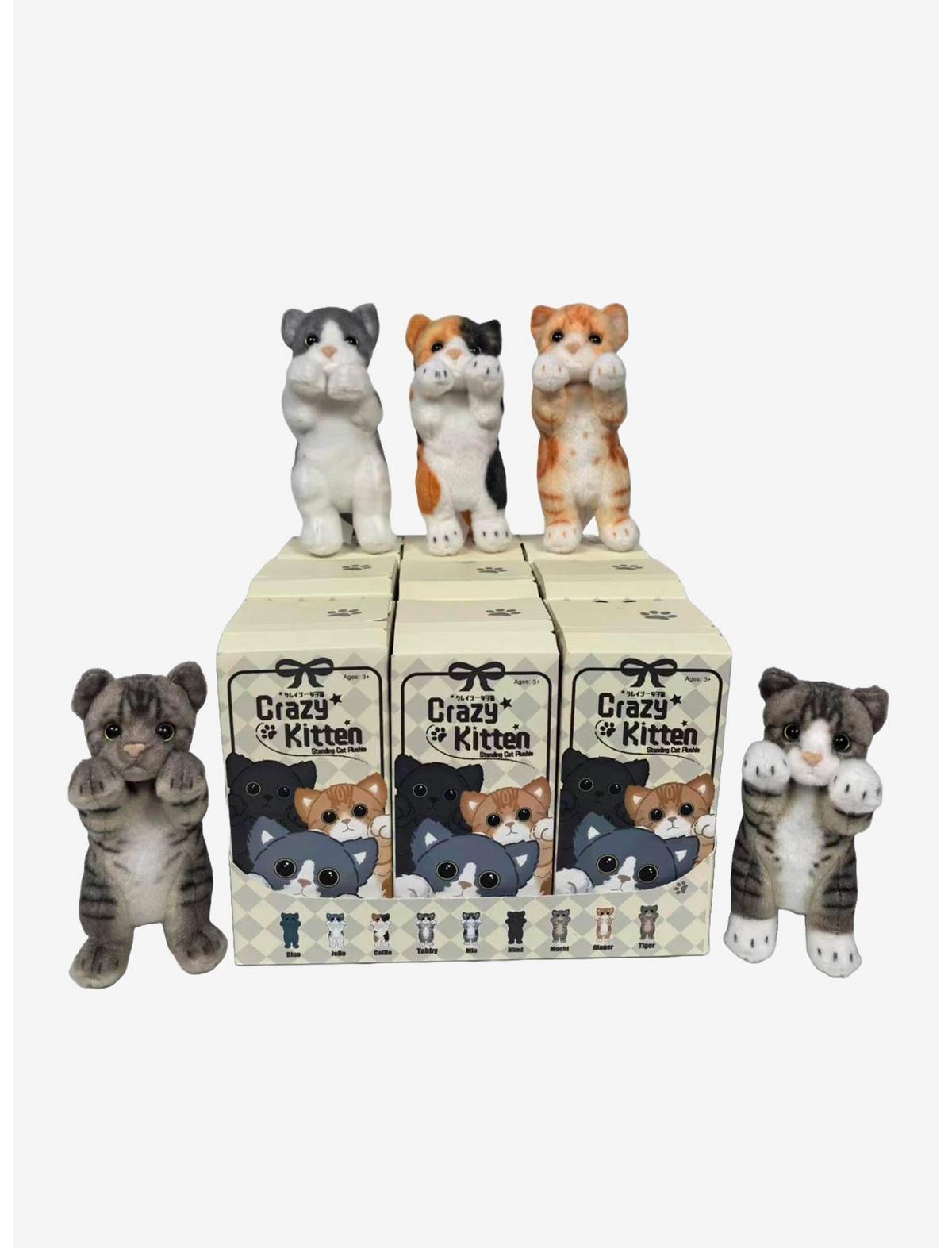 Crazy Kitten Blind Box Figure - US 7948