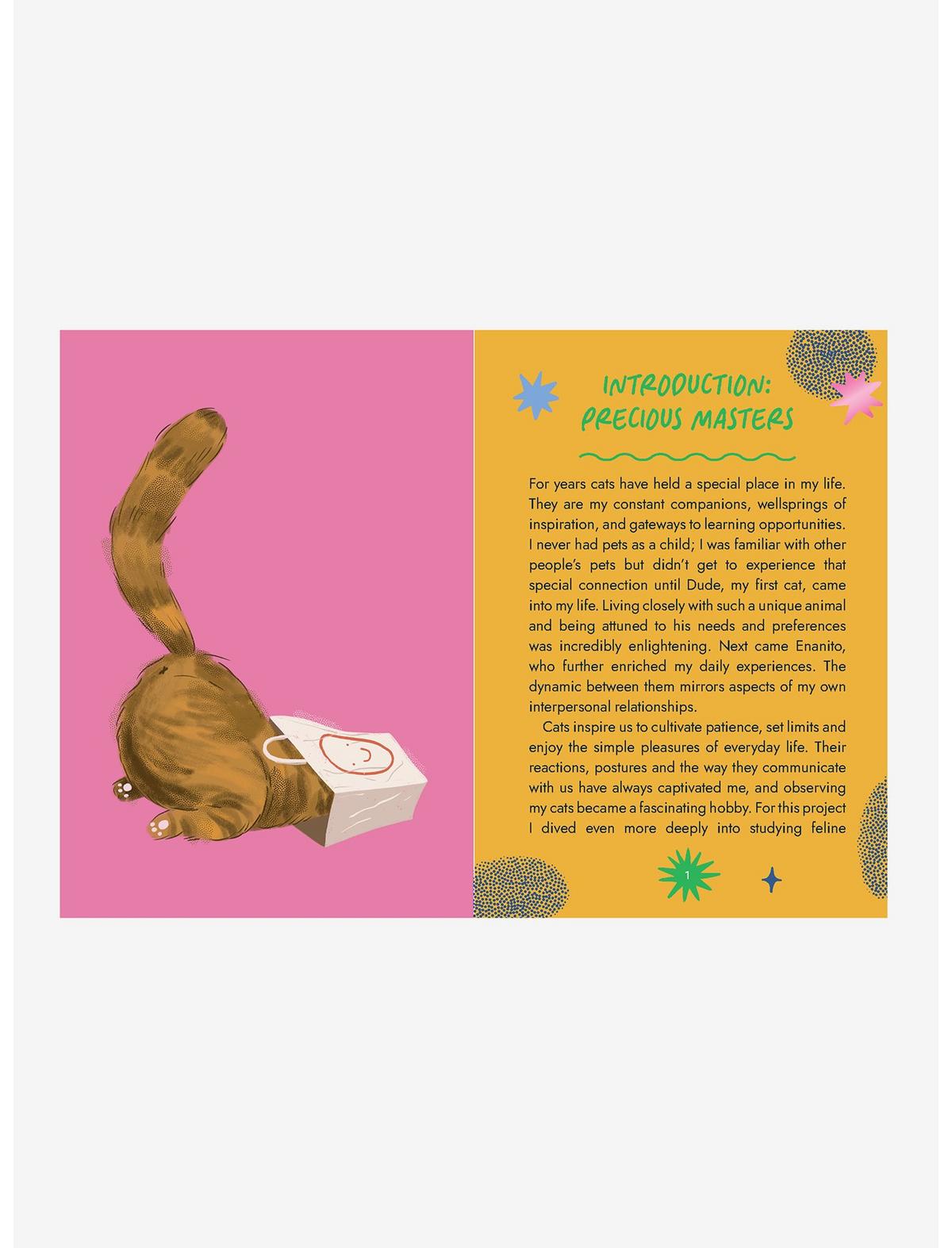 Cat Wisdom Oracle Deck - US 4768
