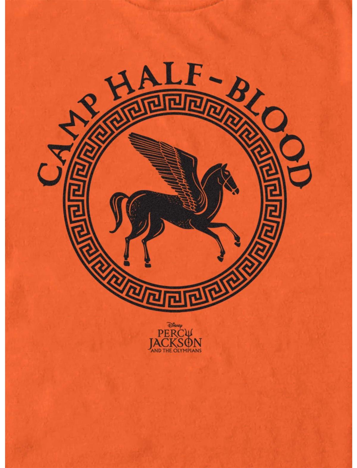 Disney Percy Jackson And The Olympians Camp Half Blood Logo T-Shirt - US 7917