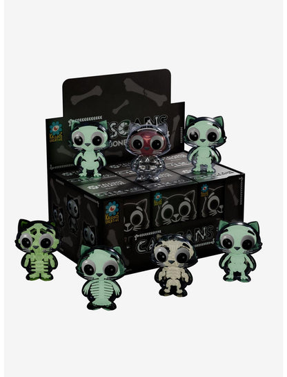 Kaleidos Creative Catscans (Bare Bones) Blind Box Figure - US 4150
