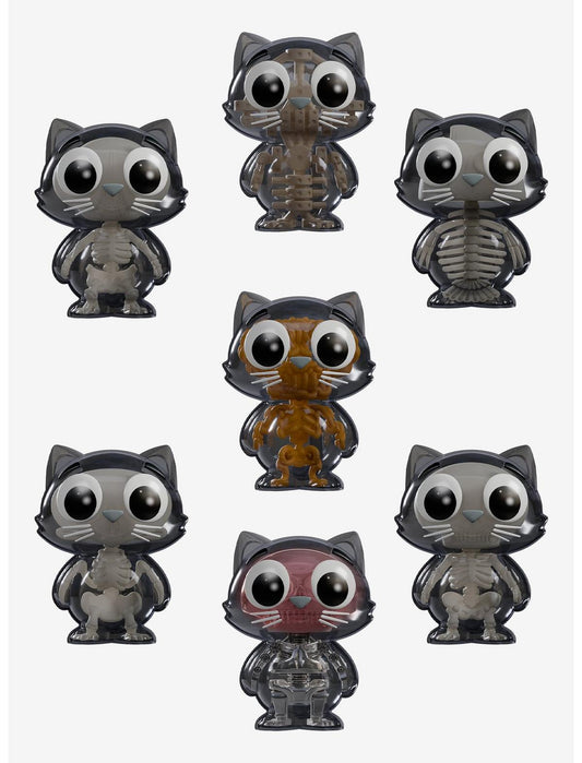 Kaleidos Creative Catscans (Bare Bones) Blind Box Figure - US 4150